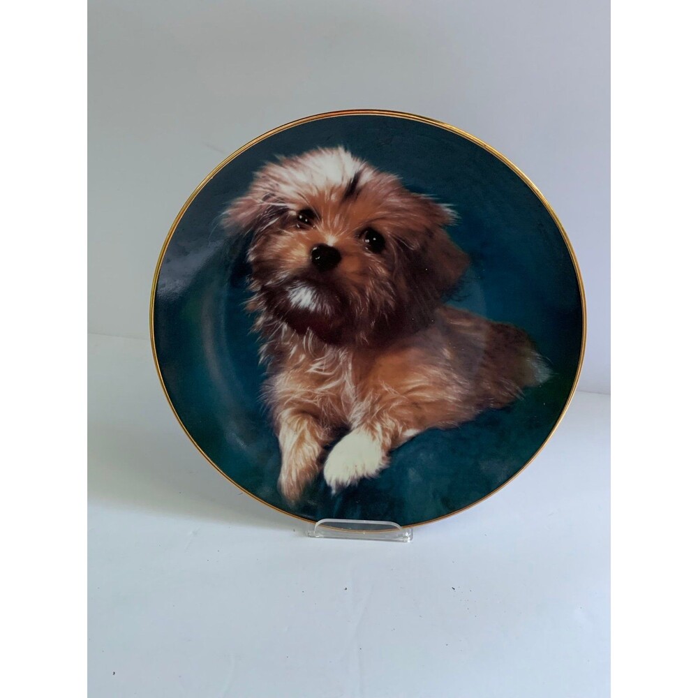 1984 Armstrong’s “Oh How Cute” Collectible Puppy Plate from Robert Pearcy Photo